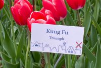 West-Michigan-Beer-Run-2021-133