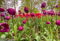 West-Michigan-Beer-Run-2021-134