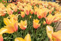 West-Michigan-Beer-Run-2021-135