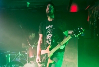 Whaler - Crossroads - 2014
