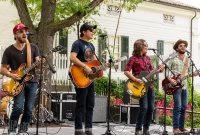 Wild Feather - Sonic Lunch