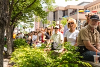 Wild Feather - Sonic Lunch