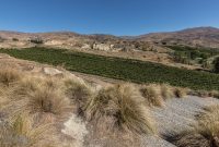 Wine-Beer-Food-New-Zealand-39