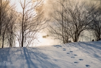 Winter - 2015-12