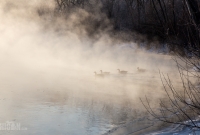 Winter - 2015-14