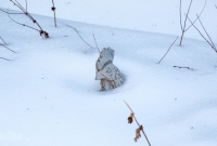 Winter - 2015-17