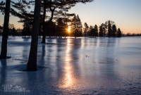 Winter - 2015-18