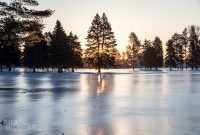 Winter - 2015-20