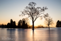 Winter - 2015-21