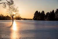 Winter - 2015-22