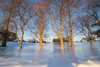 Winter - 2015-25