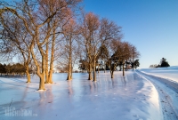 Winter - 2015-26