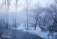 Winter - 2015-3
