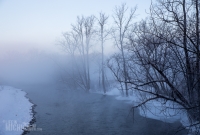 Winter - 2015-4