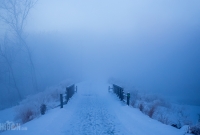 Winter - 2015-5