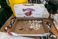 Winter Beer Festival - 2016-33