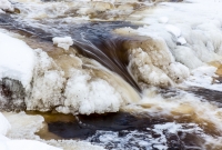 Yellow Dog River Snowshoe - U.P. Winter - 2014 -9