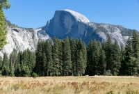 Yosemite National Park - Valley Loop Trail - 2014