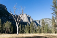 Yosemite National Park - Valley Loop Trail - 2014