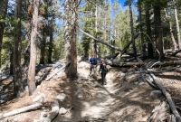 Yosemite National Park - Dog Lake - Lembert Dome - 2014