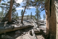 Yosemite National Park - Dog Lake - Lembert Dome - 2014