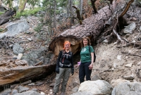 Yosemite National Park - Glacier Point - Panorama Trail - 2014