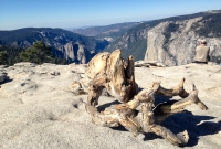 Yosemite National Park - Sentinel Dome - 2014