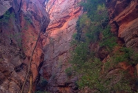 Almost a slot canyon!  Spring Creek hike
