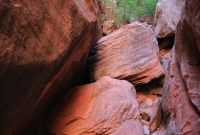Rock slide on the Spring Creek trail
