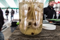 Zombie Beer Fest - 2015-17