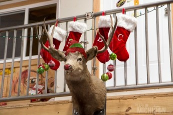 Rudolf!!!