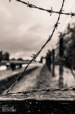 Germany - Dachau 2024