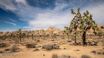 La Quinta 2021