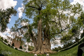 Carnton Plantation - Franklin