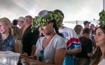 U.P. Beer Festival 2014