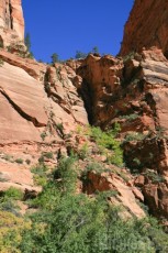 Getting ready to climb up into Refrigerator Canyon - Angels Landing