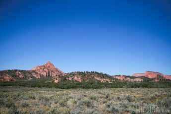 Sagebrush and sandstone on the Hop Valley trail