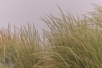Big-Sable-Point-Lighthouse-2026-28