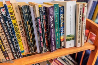 Detroit-Festival-of-Books-2025-7