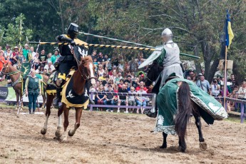 Michigan Renaissance Festival! 2015