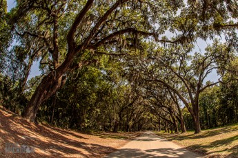 Southern-Vacation-2021-108