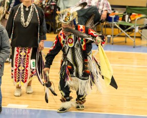 43rd Dance For Mother Earth Powwow - 2015-19