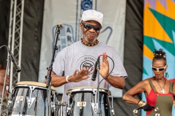 50th-Ann-Arbor-Blues-Festival-54