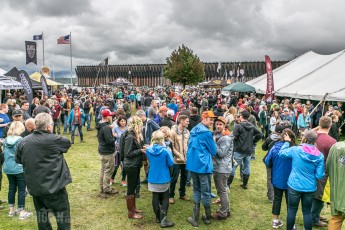 UP Fall Beer Fest - 2016-202