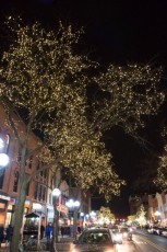 Decorated lights in downtown Ann Arbor