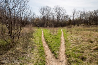 Ann Arbor Trails - Leslie -2015-36