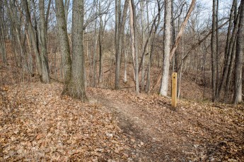 Ann Arbor Trails - Leslie -2015-9