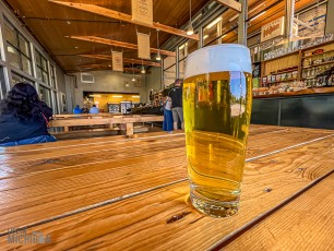 Austin-Texas-2023-17