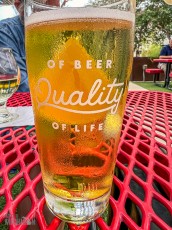 Austin-Texas-2023-173