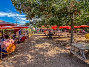 Austin-Texas-2023-176